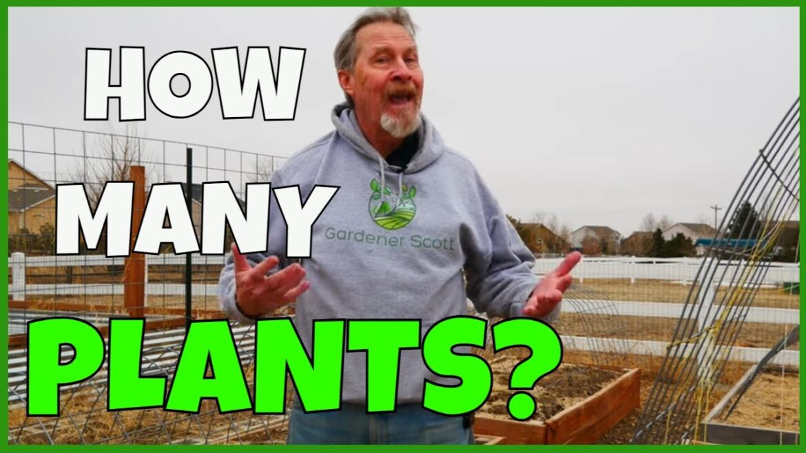 How Many Vegetables to Plant (for Food) How Many Vegetables to Plant (for Food)
