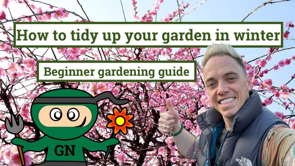 How to tidy up your garden in winter: beginner pruning guide How to tidy up your garden in winter: beginner pruning guide