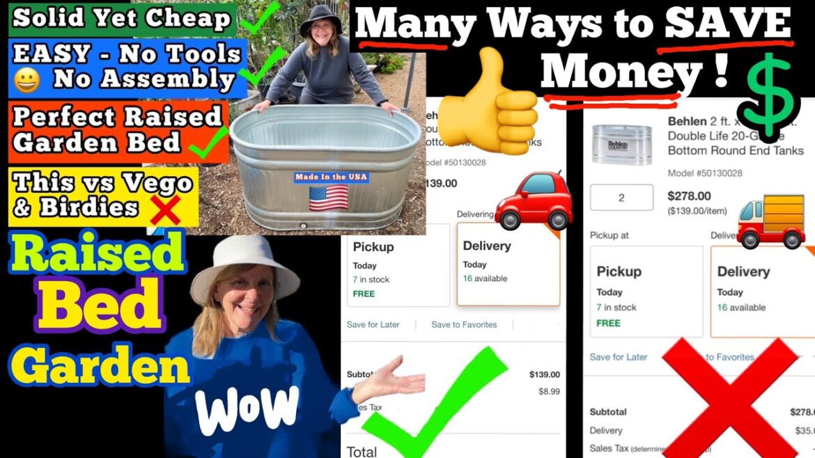 Deals $-Raised Bed Gardening for Beginners How To Grow Vegetables at Home Elevated Container Garden Deals $-Raised Bed Gardening for Beginners How To Grow Vegetables at Home Elevated Container Garden