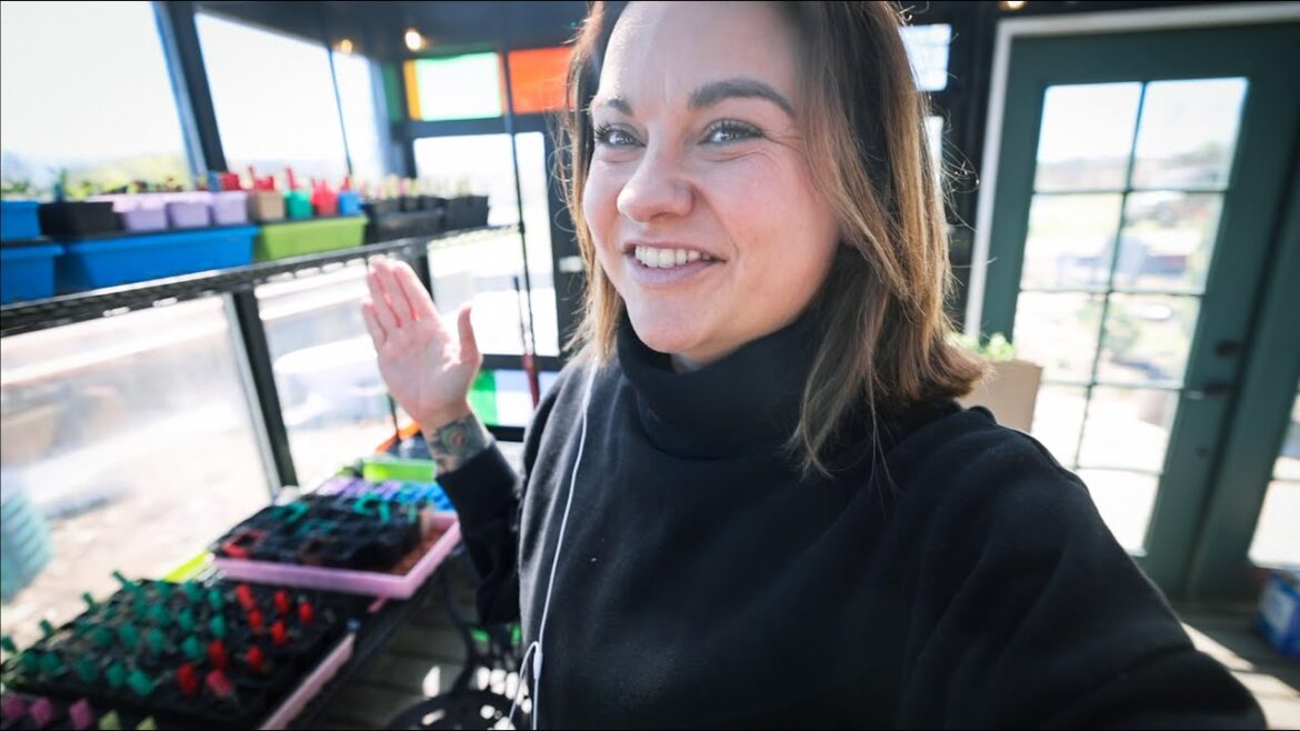 Roots and Refuge Farm: I thought my seedlings froze | VLOG I thought my seedlings froze | VLOG