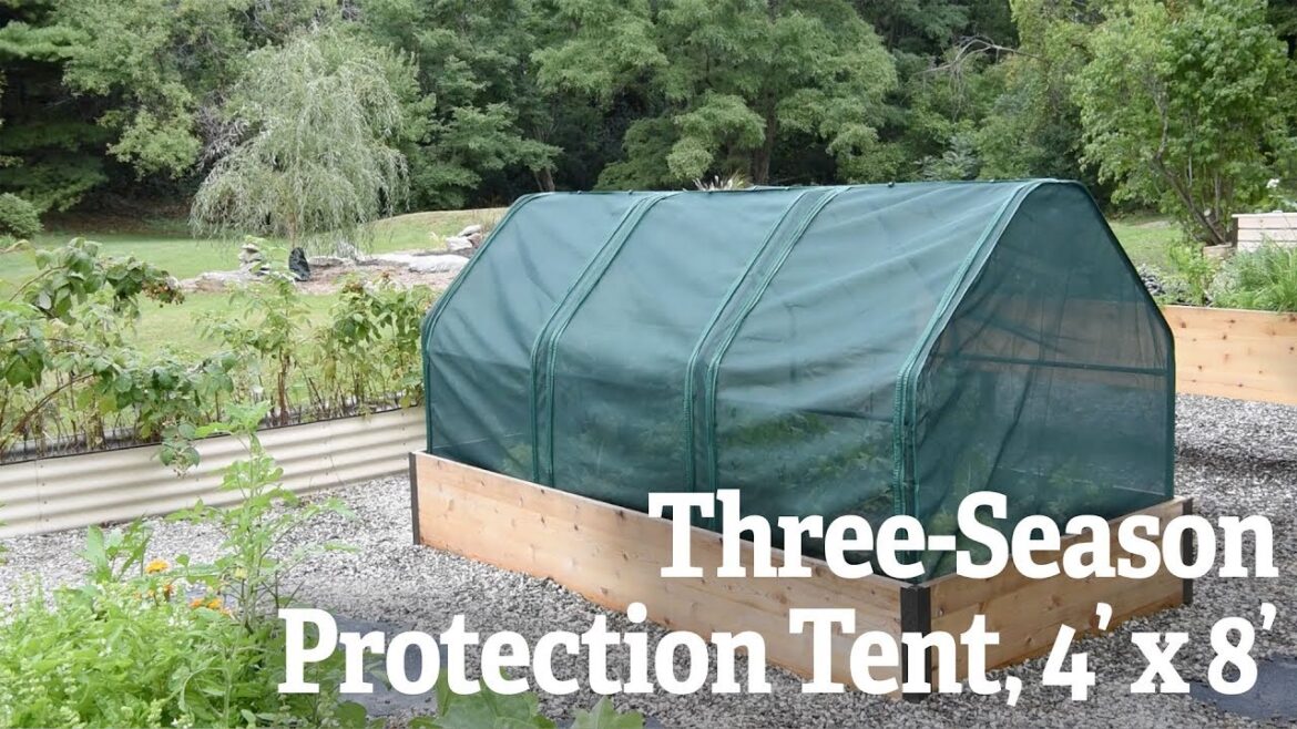 A Closer Look At The Three-Season Protection Tent | Gardener’s Supply A Closer Look At The Three-Season Protection Tent | Gardener's Supply