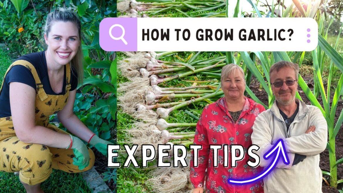 GARLIC GROWING TIPS and Direct Sowing Seeds with Gary & Julie @down2earthlife // S1E3 HOMEGROWN