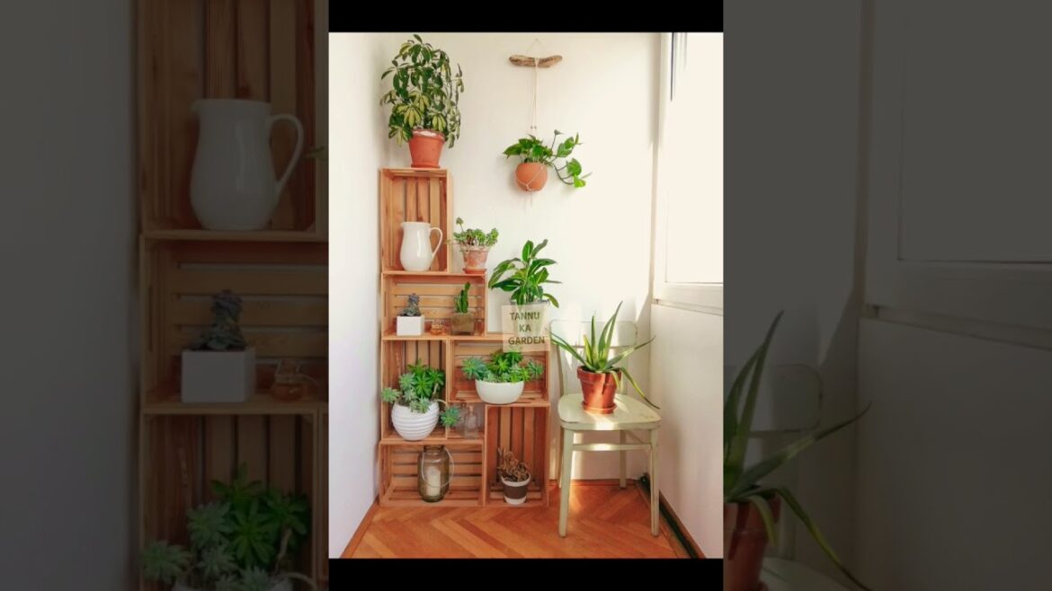 Indoor plants and planting ideas part II  #viral #gardening #shorts