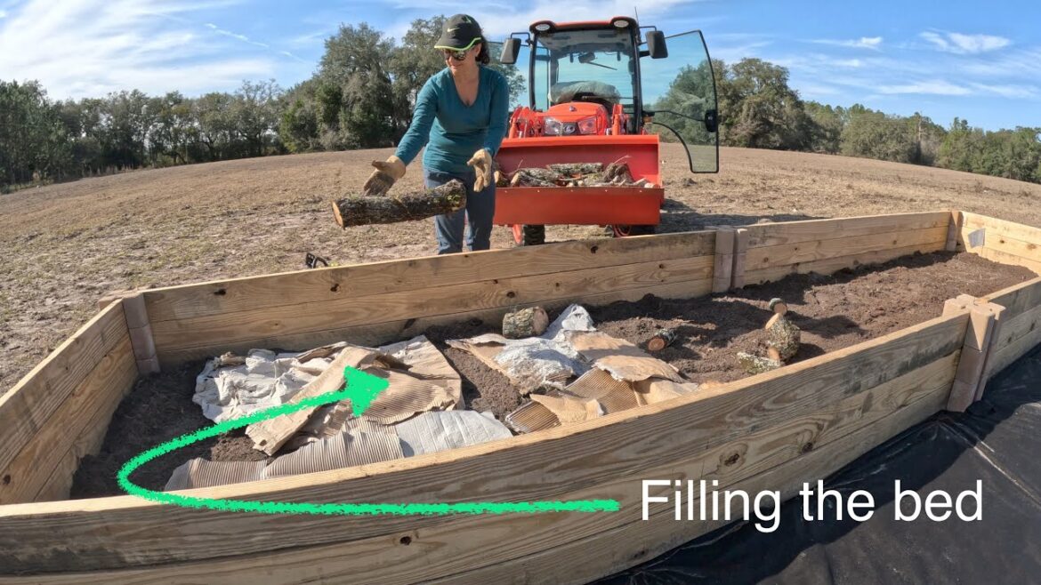 Garden Design, Development & Construction #9