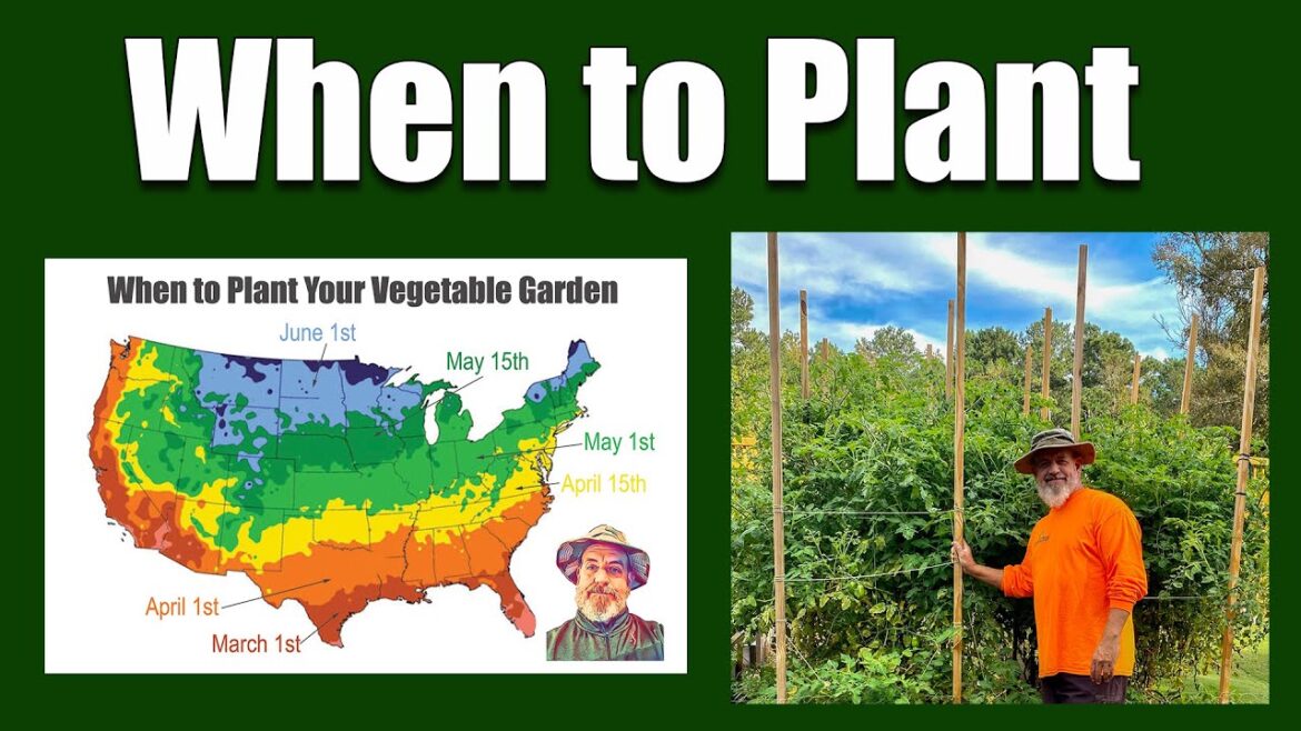 When to Plant Vegetable Gardens When to Plant Vegetable Gardens
