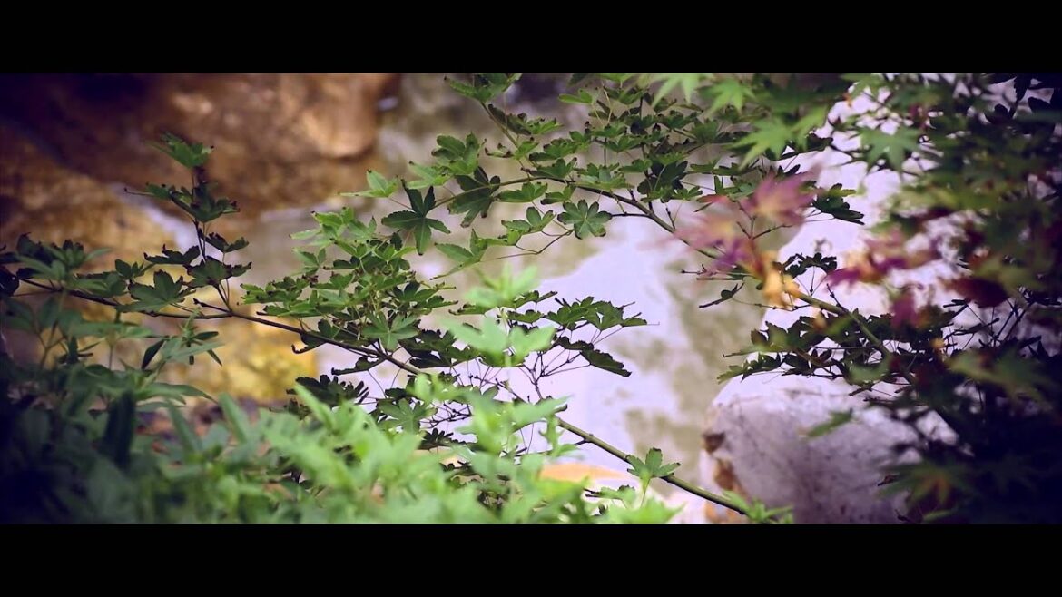 ECHOES FROM A JAPANESE GARDEN by Andrea Centazzo