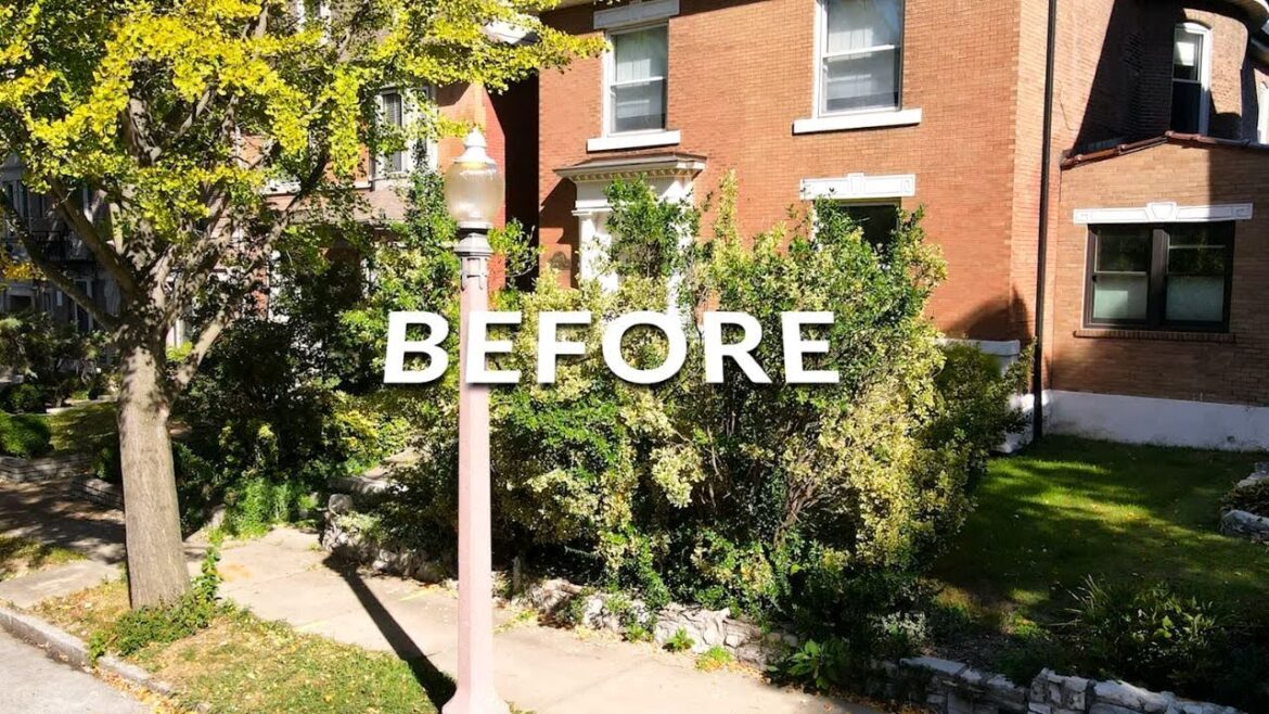 Where’s THE HOUSE??? π (STUNNING Landscaping TRANSFORMATION) Where's THE HOUSE??? π (STUNNING Landscaping TRANSFORMATION)