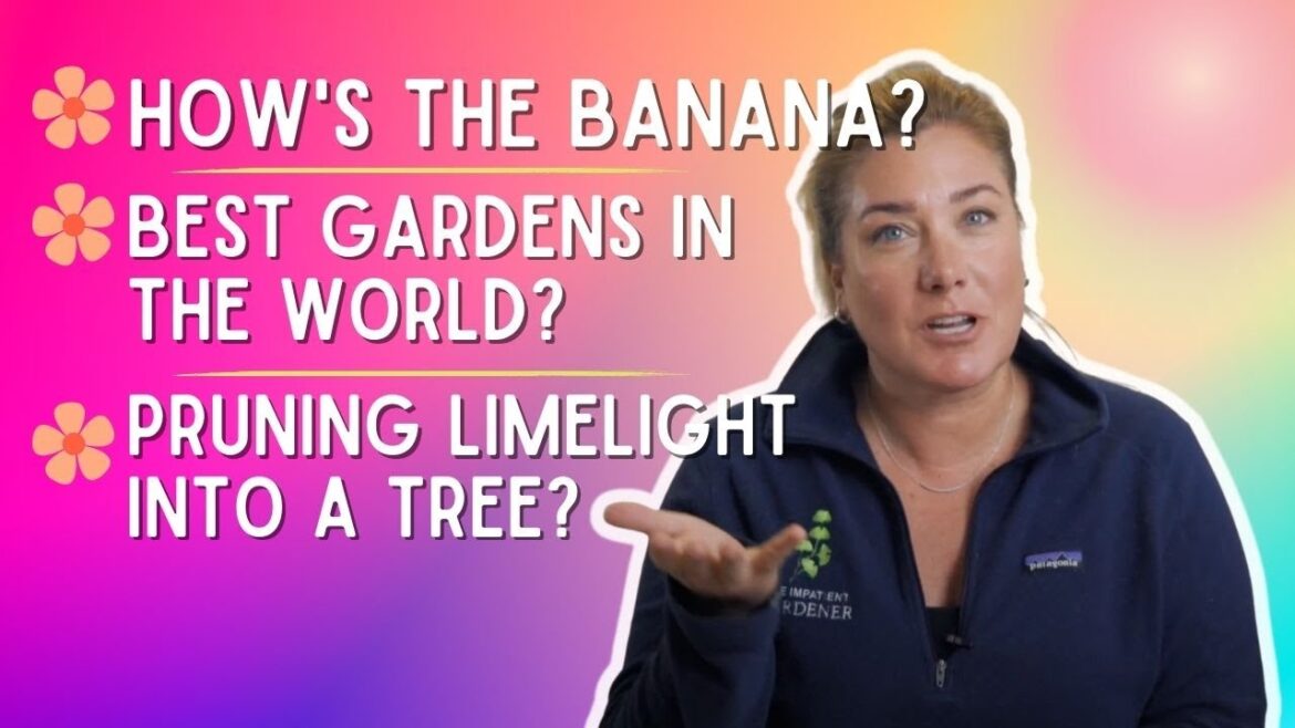 Answering your gardening questions + 📬 Answering your gardening questions + 📬