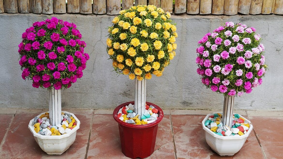 Beautiful Garden Ideas, How To Make A Beautiful Orb Vertical Garden From Plastic Bottles And Balls