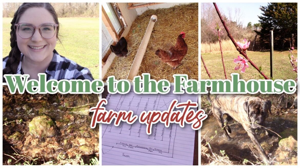 Welcome to the FARMHOUSE | FARM Update | HOMESTEAD | GARDEN 2023 | KIRSTI PICKENS