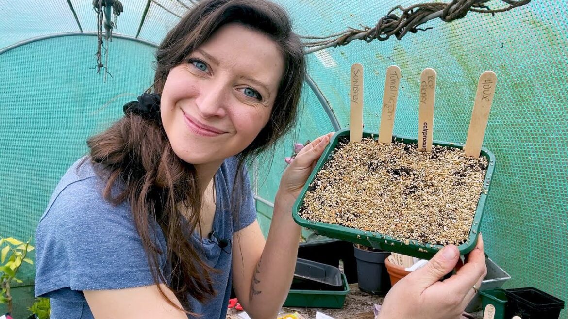 Sow Seeds With Me - Tomatoes, Basil & Cosmos