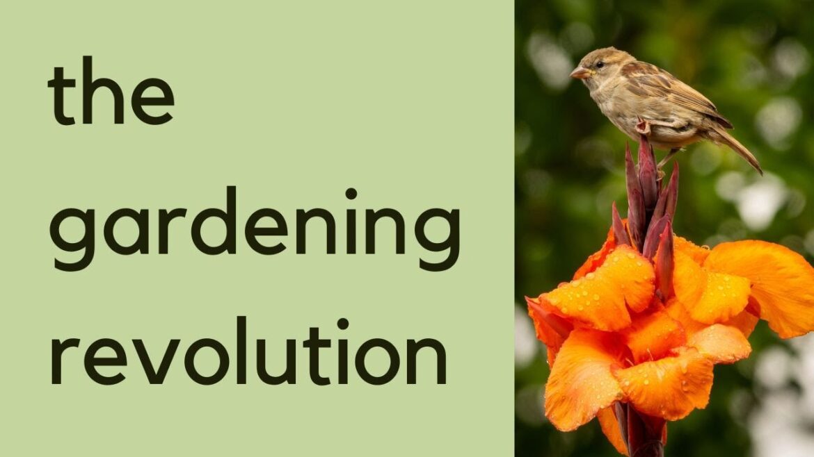 Gardening for biodiversity – why changing the rules is good news for garden lovers! Gardening for biodiversity - why changing the rules is good news for garden lovers!