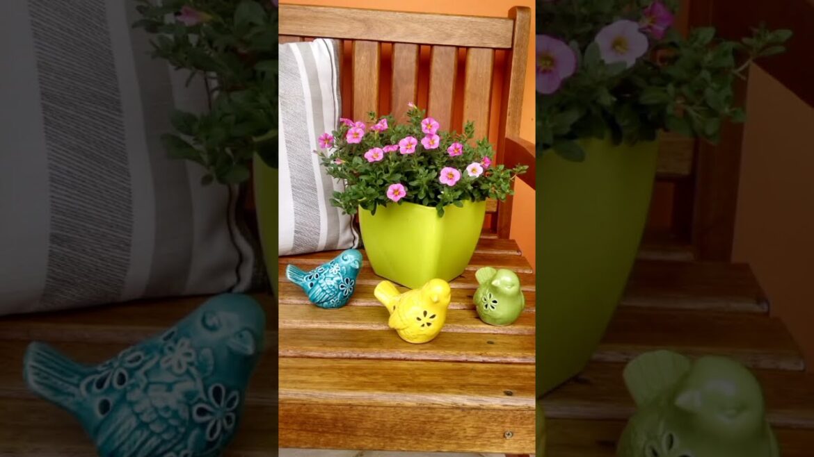 Container Garden Retrospective / Simple Easter Decor #flowers #homedecor #design #garden #shorts