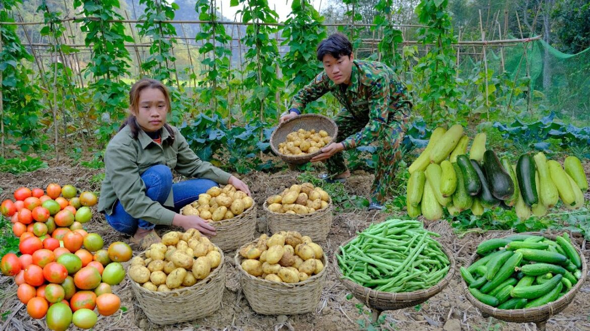 Full: 50 days of gardening, harvesting agricultural products and bringing them to the market to sell