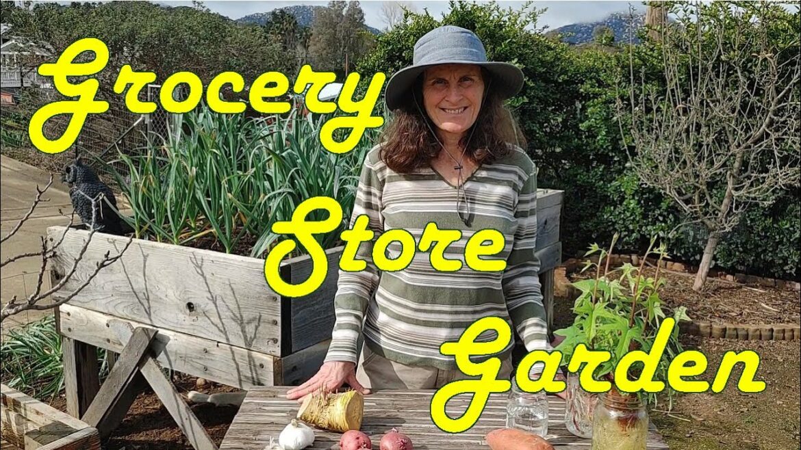 Gardening from the Produce Section