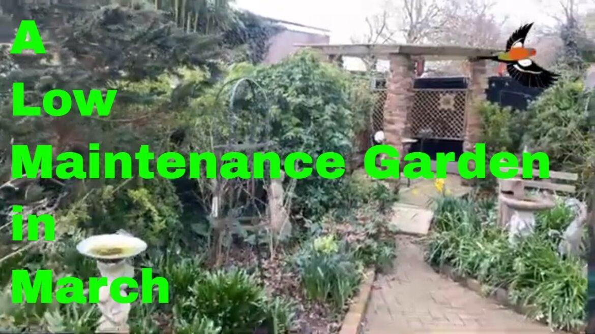 A garden design with low maintenance in March A garden design with low maintenance in March