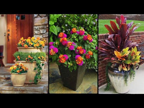 40+ unique container garden design ideas 40+ unique container garden design ideas