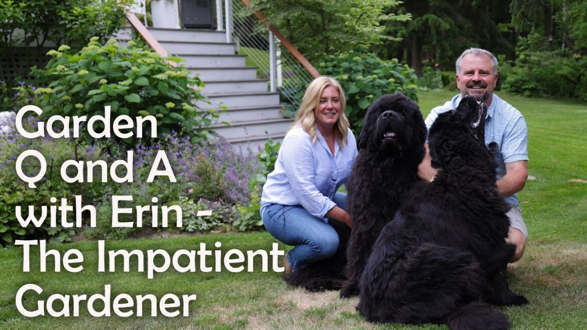 Garden Q and A with Erin the Impatient Gardener Garden Q and A with Erin the Impatient Gardener