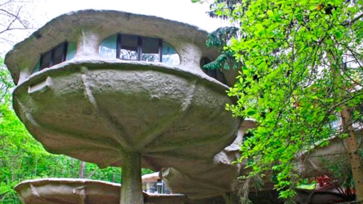 People Laughed at His House, Until They Went Inside