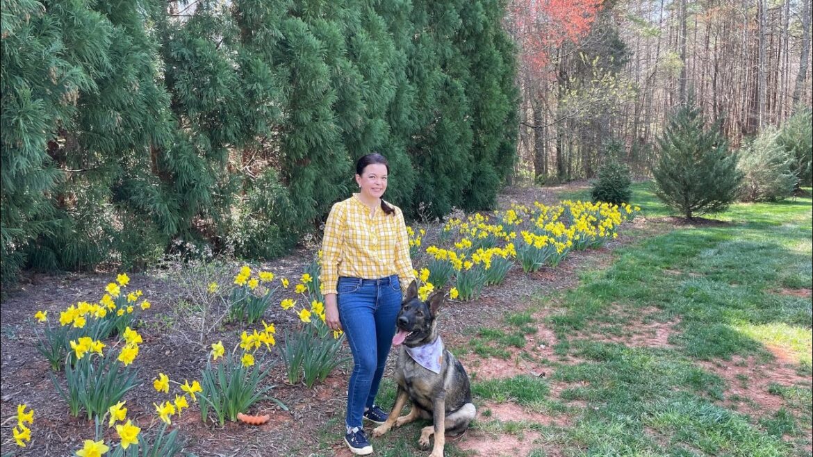 Pruning Viburnums & Spring Bulb Tour | Gardening with Creekside Pruning Viburnums & Spring Bulb Tour | Gardening with Creekside