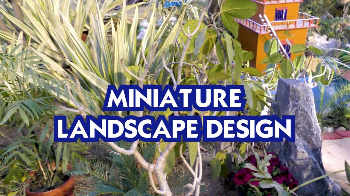 Miniature Landscape Designs : Zen Gardens