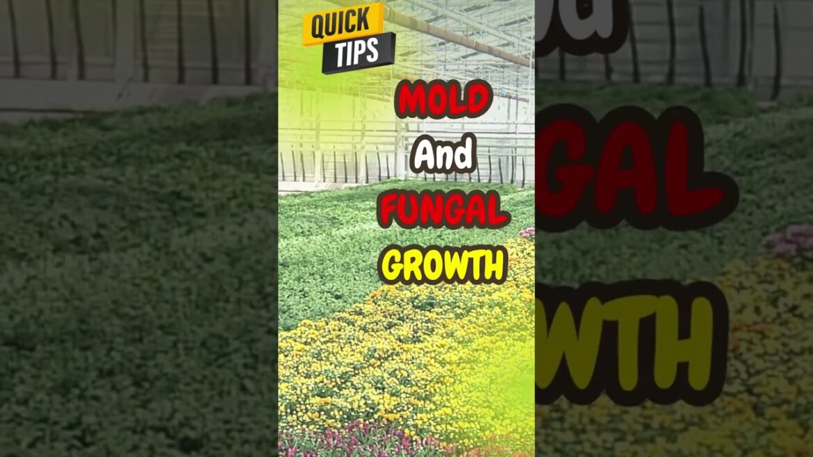 🌱 👉 Organic Gardening Hacks and QUICK TIPS # 40🌱