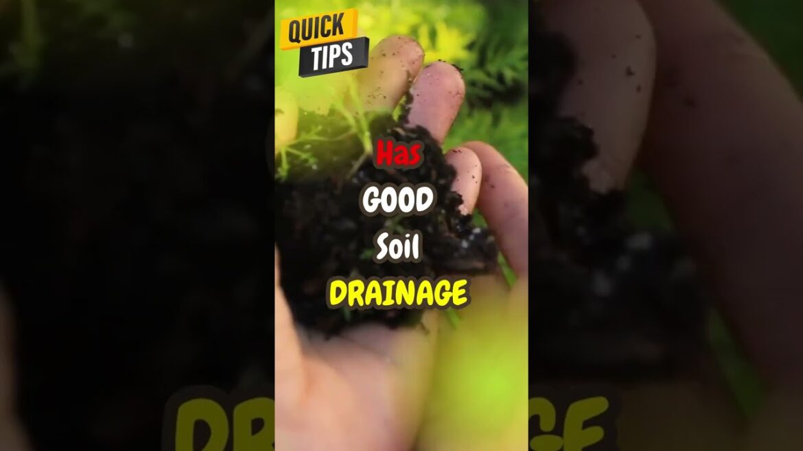 ๐ฑ ๐ Organic Gardening Hacks and QUICK TIPS # 38๐ฑ ๐ฑ ๐ Organic Gardening Hacks and QUICK TIPS # 38๐ฑ