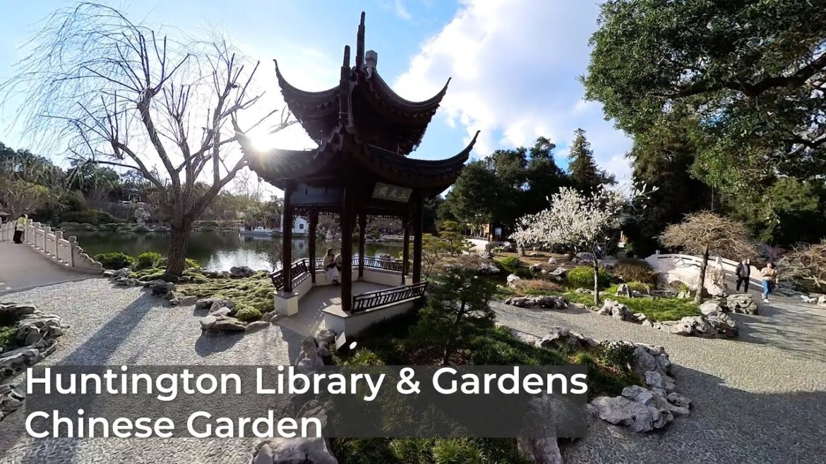 Garden Tour | Tranquil Wonders of the Huntington Garden A Tour of Chinese Garden Beauty Garden Tour | Tranquil Wonders of the Huntington Garden A Tour of Chinese Garden Beauty