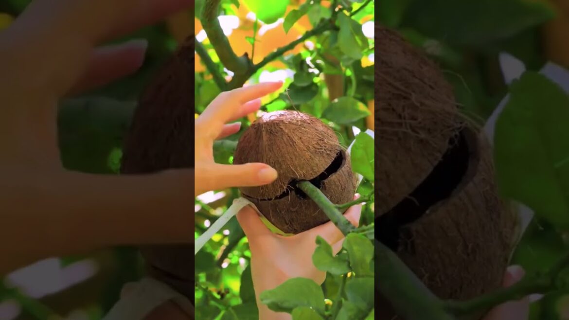 3 incredible gardening  tips to grow anything any where🌳#shorts#fyp viral#foryoupage