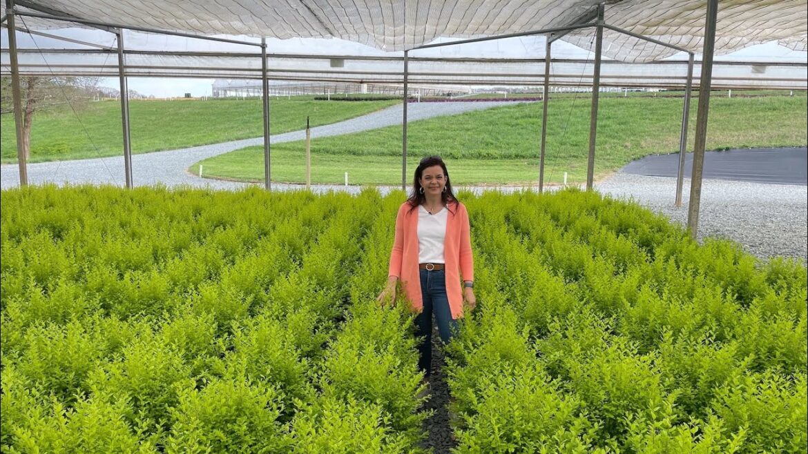 Field Trip to One of the Prettiest Nurseries, Panoramic Farm | Gardening with Creekside