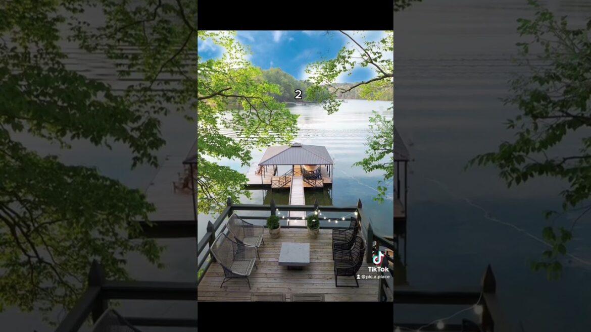 Which backyard are you choosing?