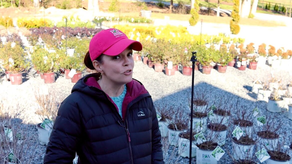 Nursery Tour & Our Season Opener | Gardening with Creekside Nursery Tour & Our Season Opener | Gardening with Creekside