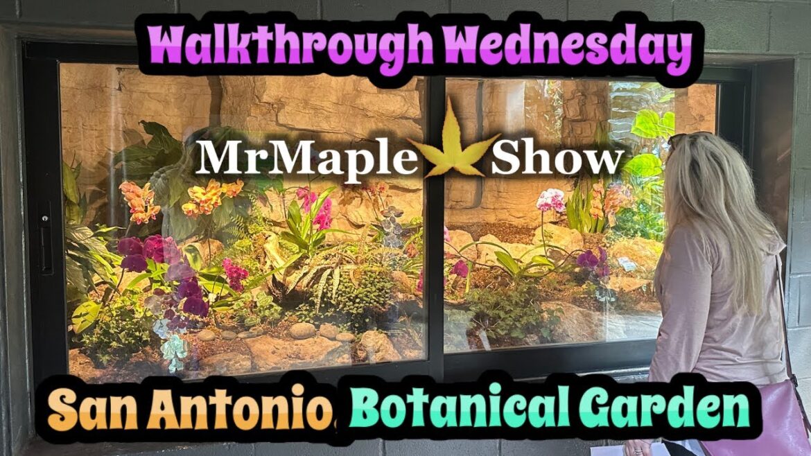 San Antonio Botanical Garden Tour