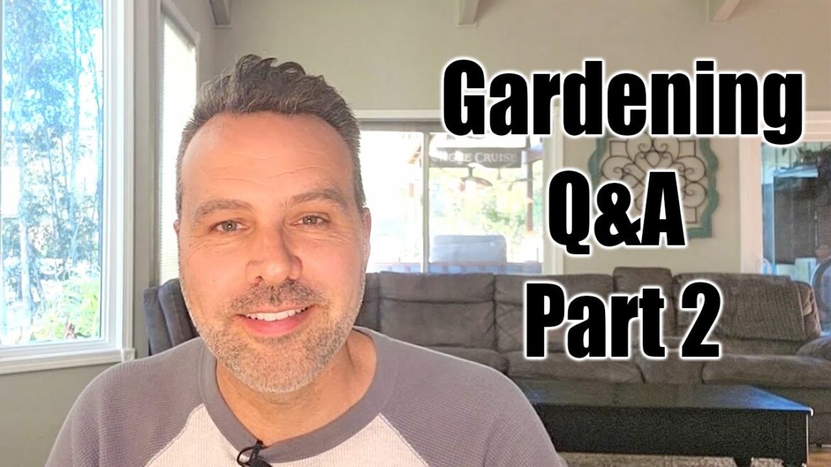 Drip Tape vs. Drip Tube // Squash Bugs & Other Questions Answered (Part 2)