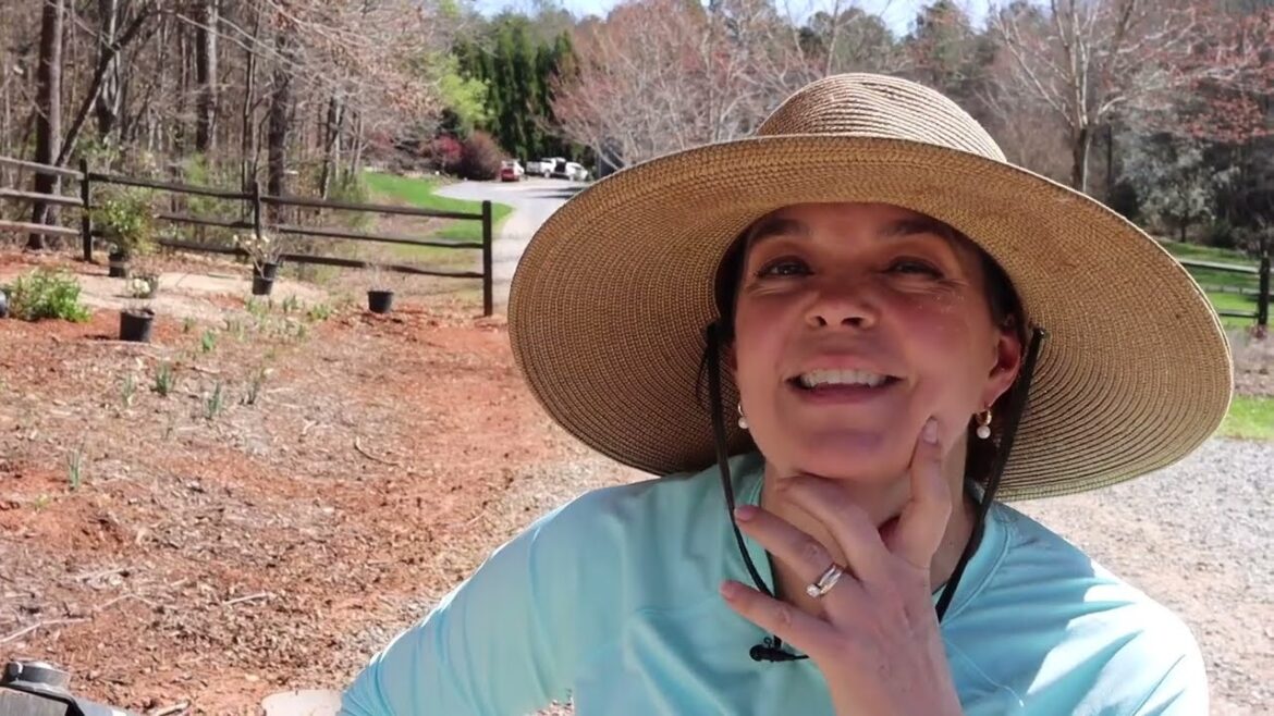 Planting a New Woodland Garden | Gardening with Creekside