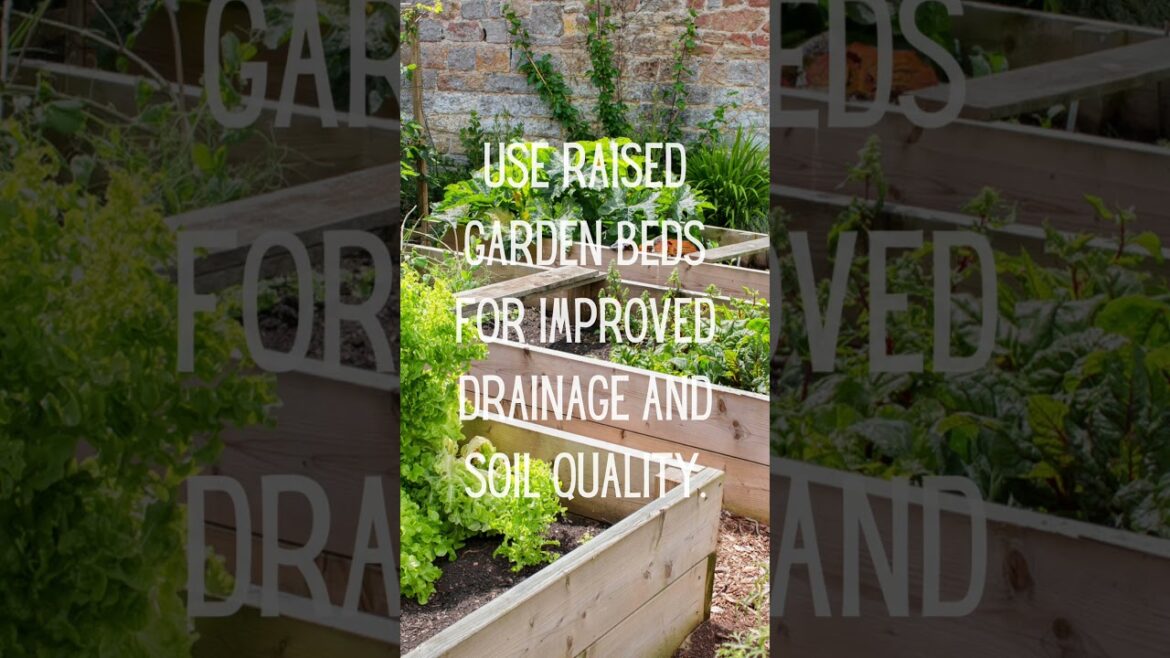 My Top 30 Gardening Tips in 30 Days #march31challenge #garden #plants #tips