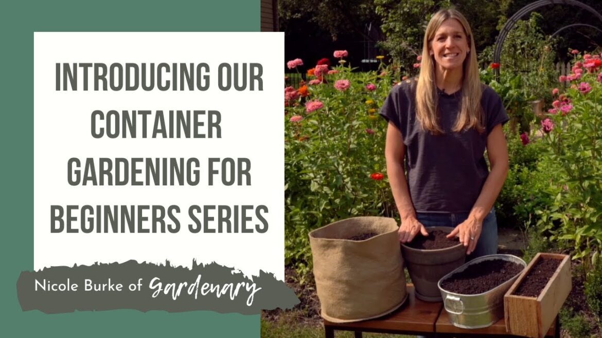 Introducing Our Container Gardening for Beginners Series Introducing Our Container Gardening for Beginners Series
