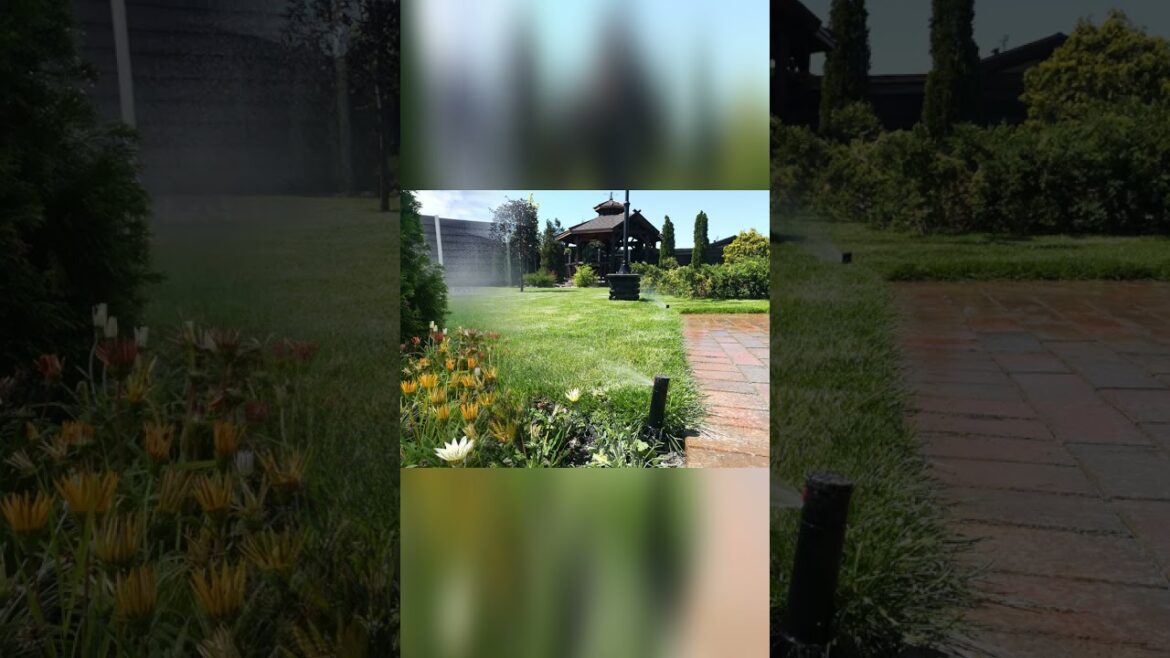 Real front yard makeover. Before after time lapse #shorts