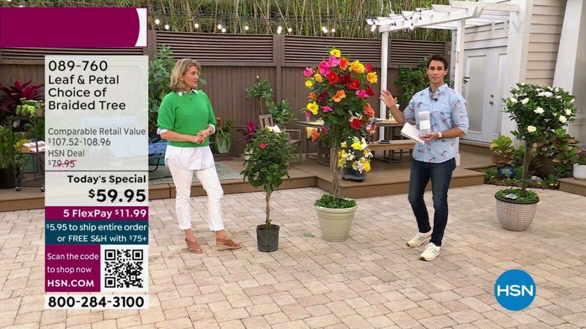 HSN | HSN Today with Tina & Ty – Garden Sale 03.17.2023 – 08 AM HSN | HSN Today with Tina & Ty - Garden Sale 03.17.2023 - 08 AM