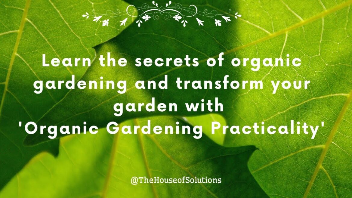 Transform Your Garden into a Sustainable Oasis with the 'Organic Gardening Practicality' Course.