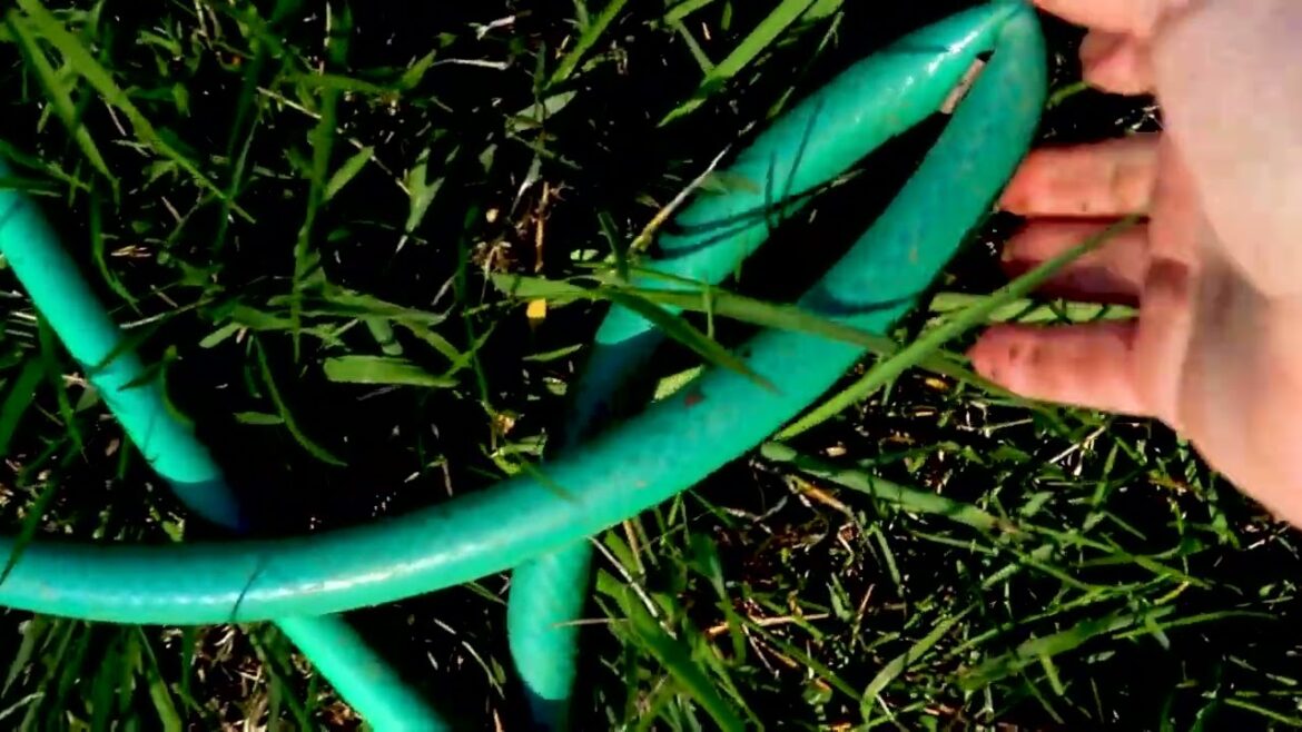 This was the BEST IDEA I've EVER HAD!