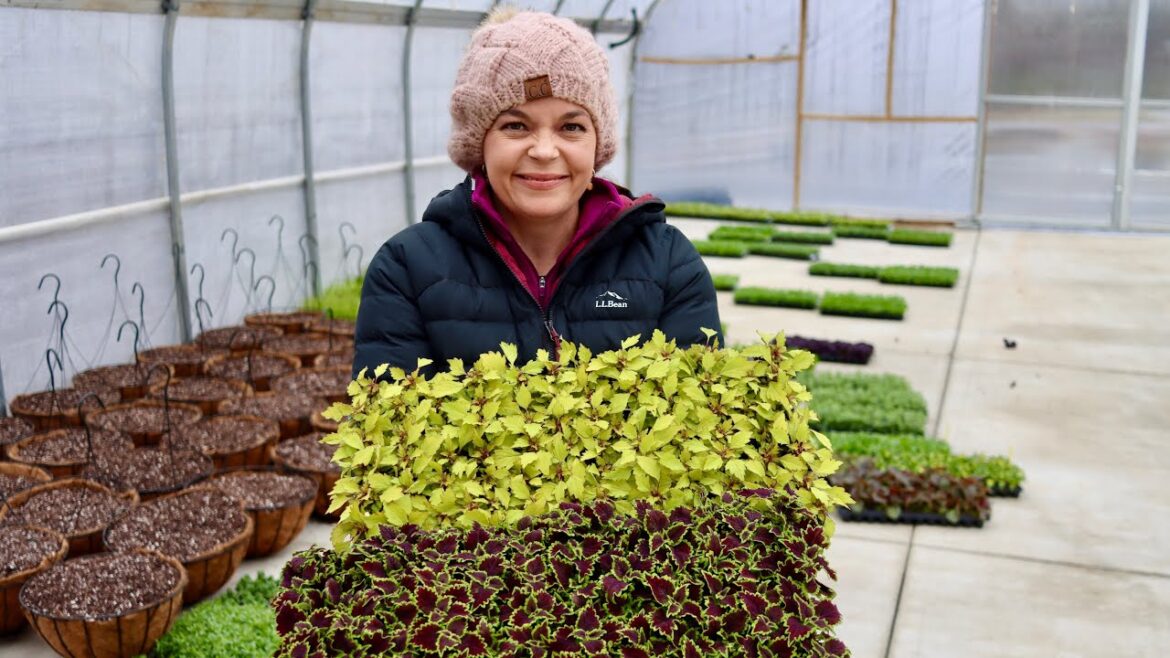 Big Delivery of Proven Winners Annuals | Gardening with Creekside Big Delivery of Proven Winners Annuals | Gardening with Creekside