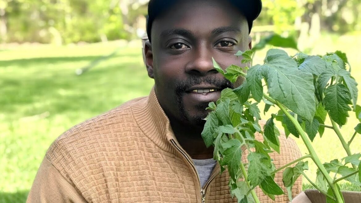 What If It Costs Too Much To Start A Garden⁉️|Then What?