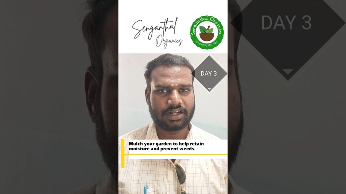 Gardening Tips 3/100 | மாடித்தோட்டம்  #SenganthalOrganics #AtomicFarming