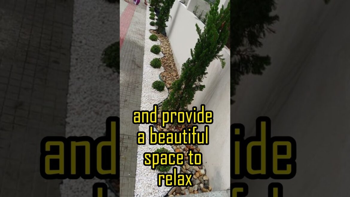 Best Front Garden Ideas #shorts #viral #viralshorts #garden Best Front Garden Ideas #shorts #viral #viralshorts #garden