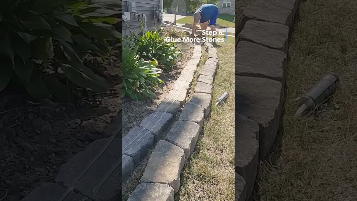 DIY Landscape Paver Edging Installation - Step-by-Step Guide #shorts #landscape 🔨🗿
