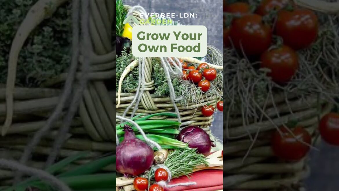Top 10 Garden Trends Spring Summer 2023 | EVERBEE – Ldn: GARDEN Top 10 Garden Trends Spring Summer 2023 | EVERBEE - Ldn: GARDEN