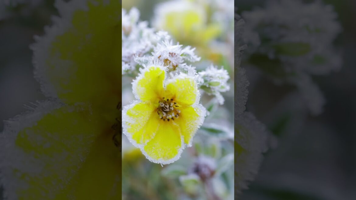 My Top 30 Gardening Tips in 30 Days