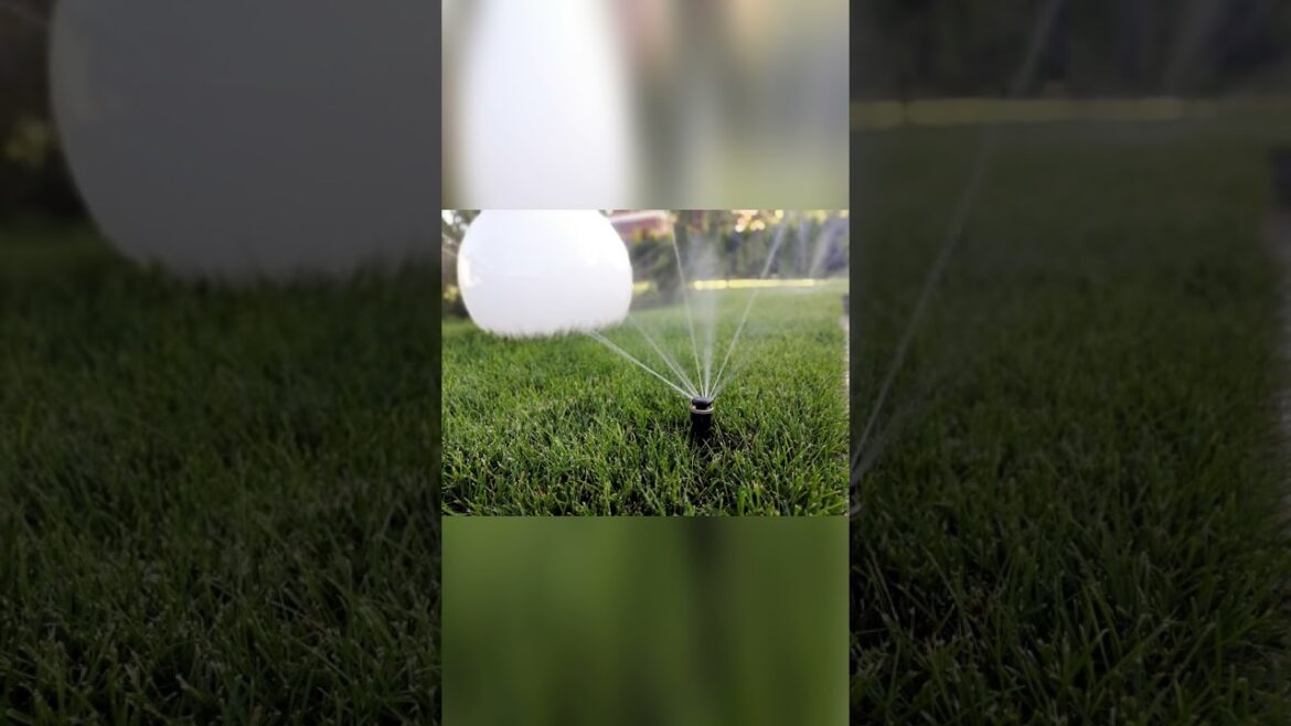 Top backyard landscaping makeover. Before after time lapse #shorts