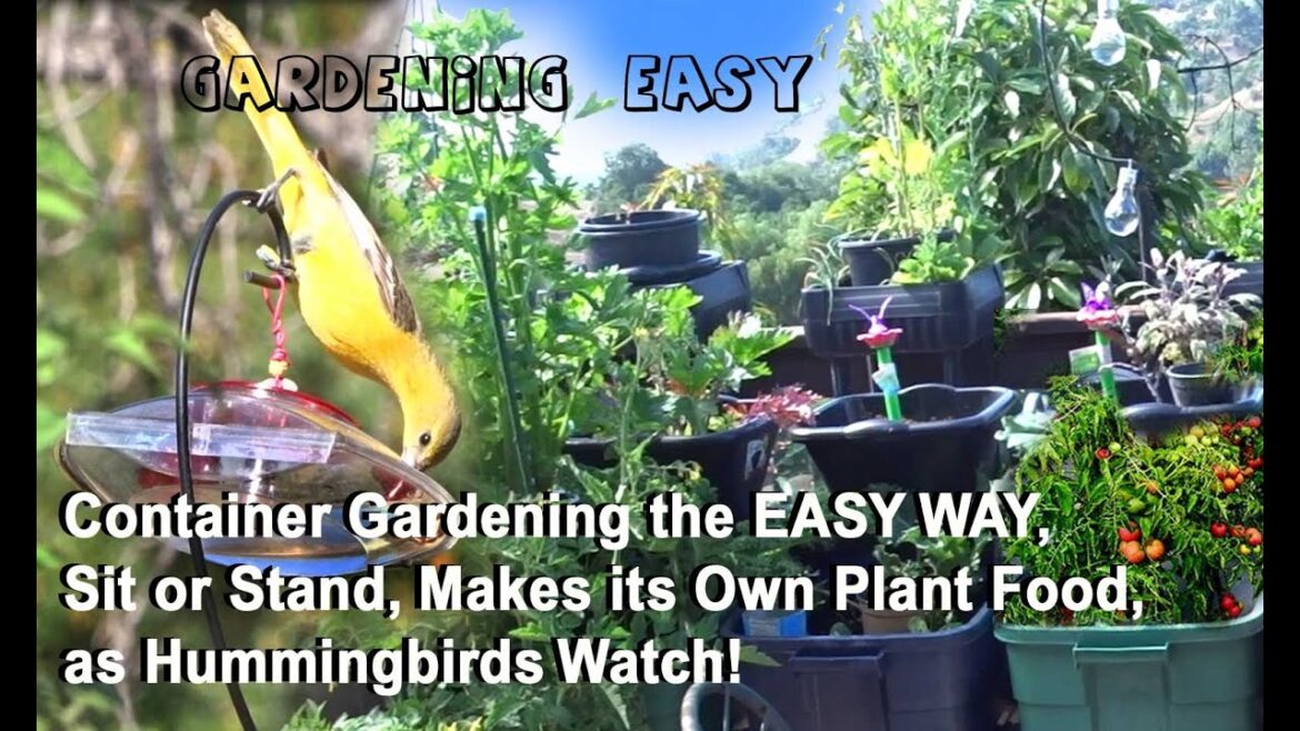 How To Container Garden Easy for Everyone Compost in Place System Grow Tomatoes Squash Lettuce Herbs How To Container Garden Easy for Everyone Compost in Place System Grow Tomatoes Squash Lettuce Herbs